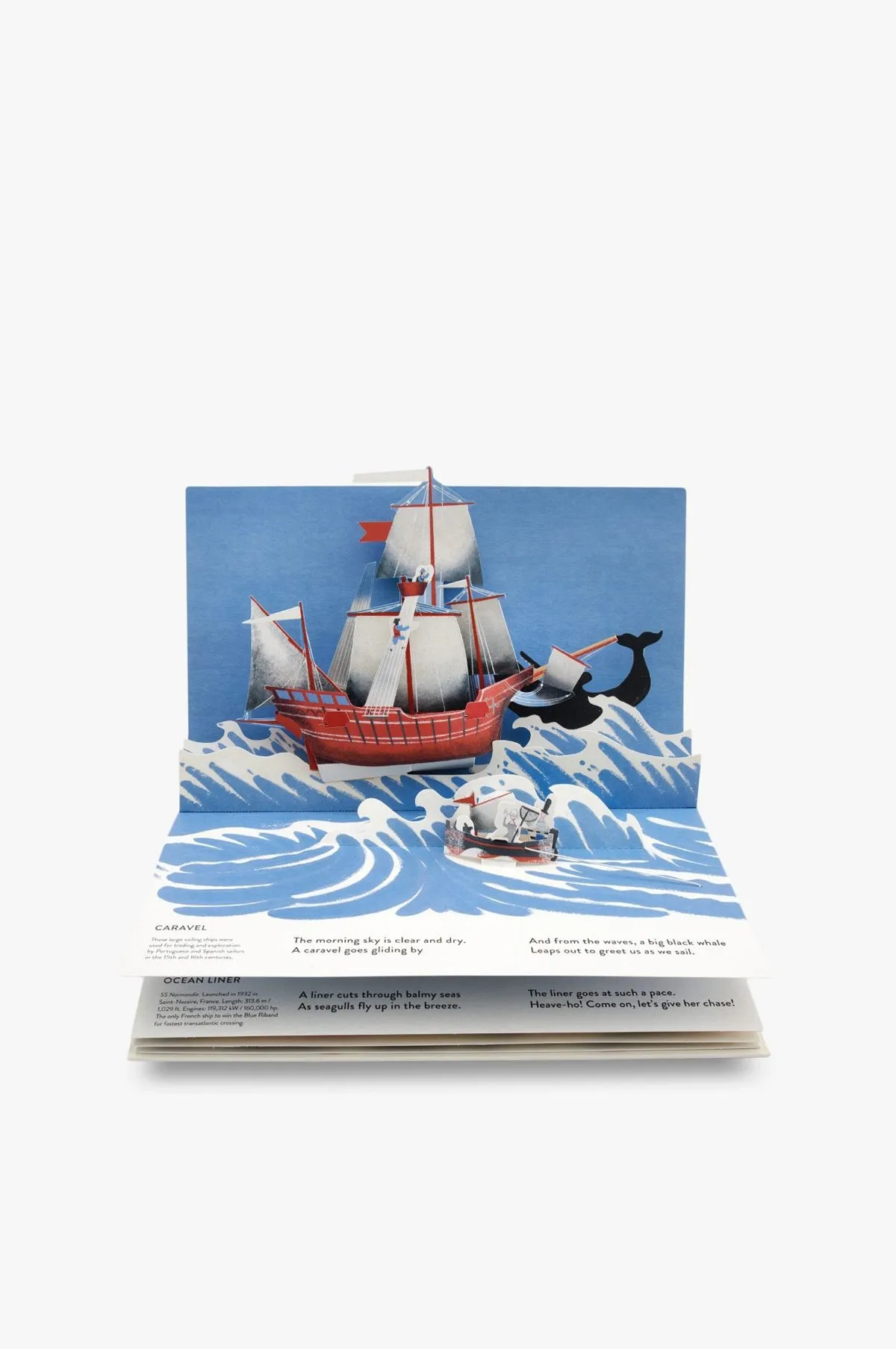 A Sea Voyage