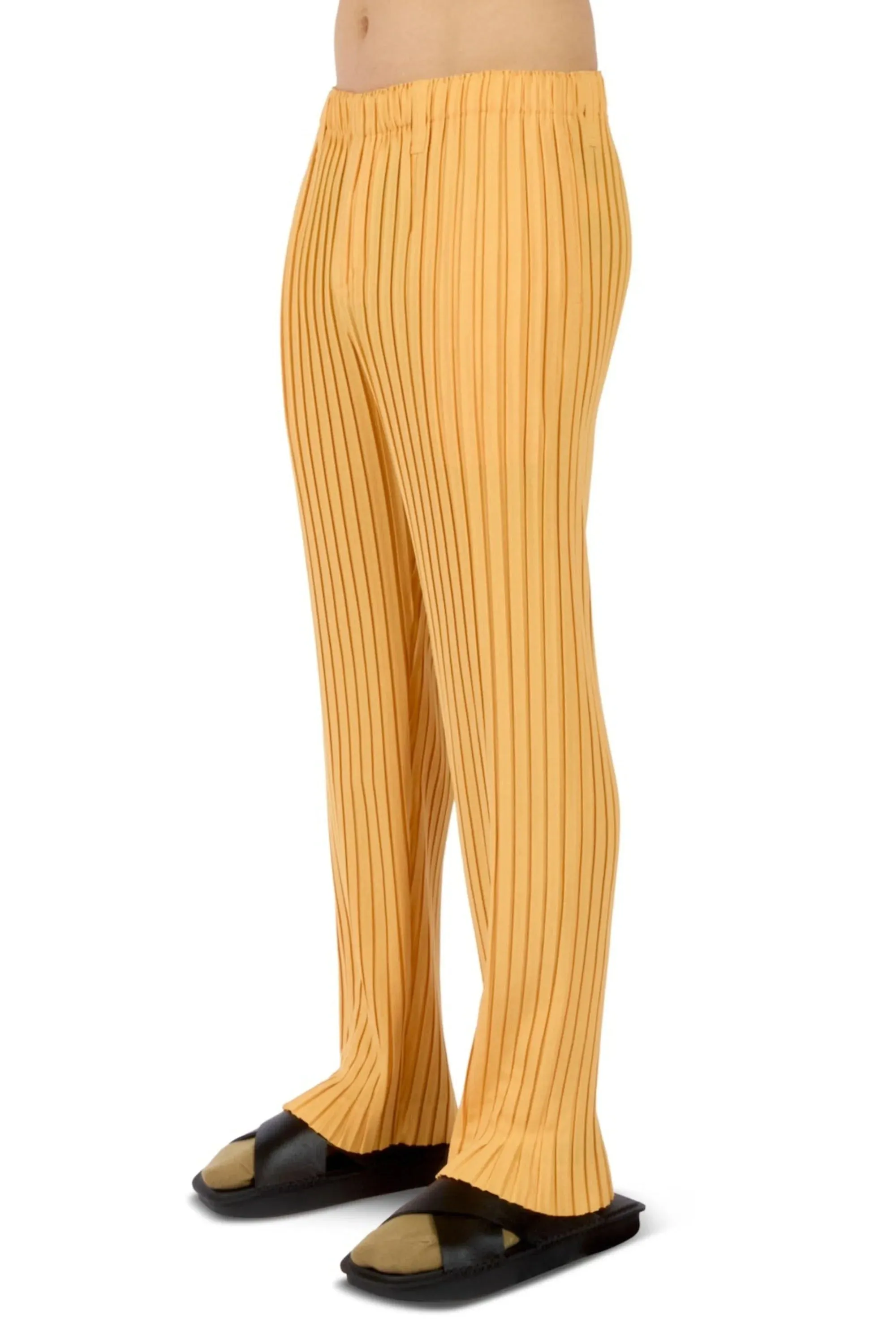 Box Pleats Ensemble Pants