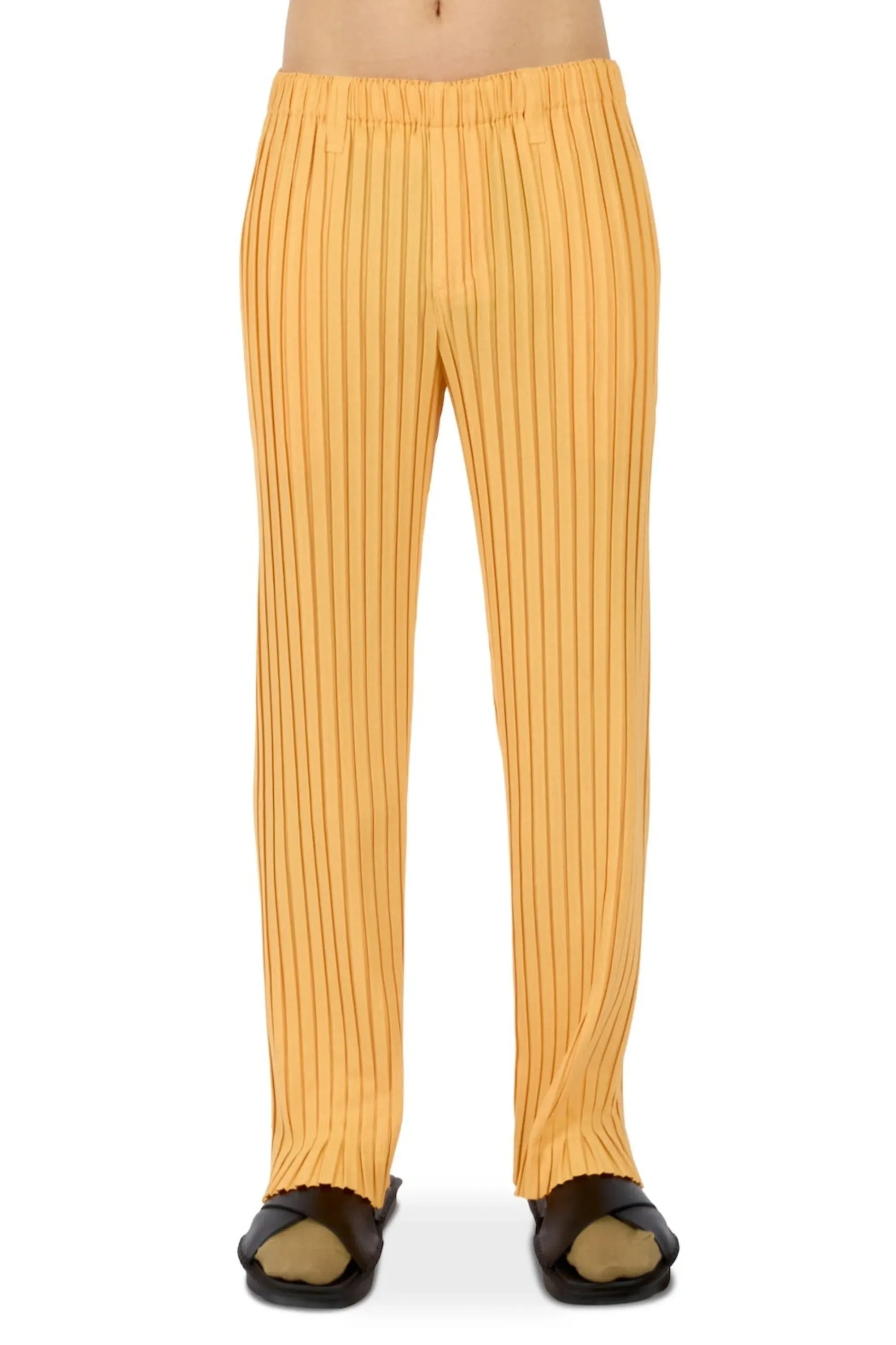 Box Pleats Ensemble Pants