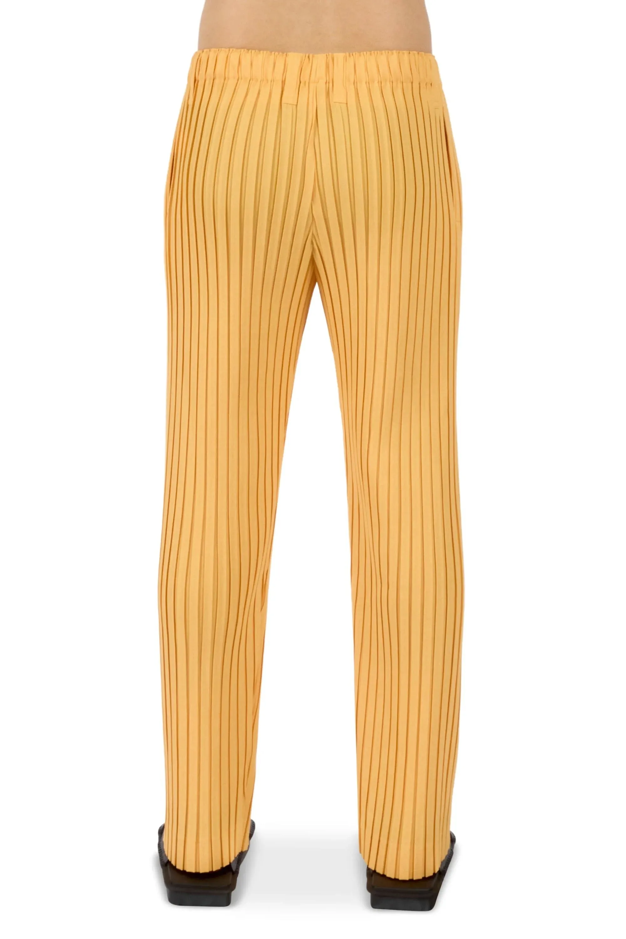 Box Pleats Ensemble Pants