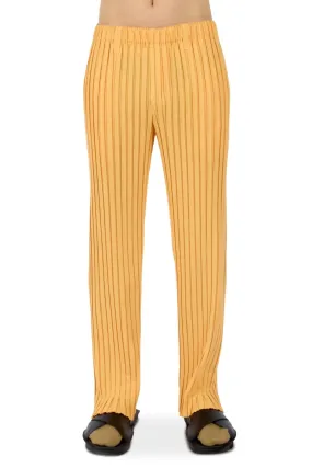 Box Pleats Ensemble Pants