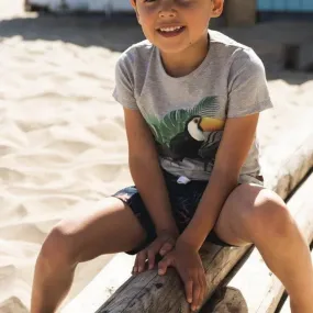 Boys T-shirt Light Grey Toucan | Koko-Noko
