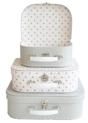 carrying case starry night small
