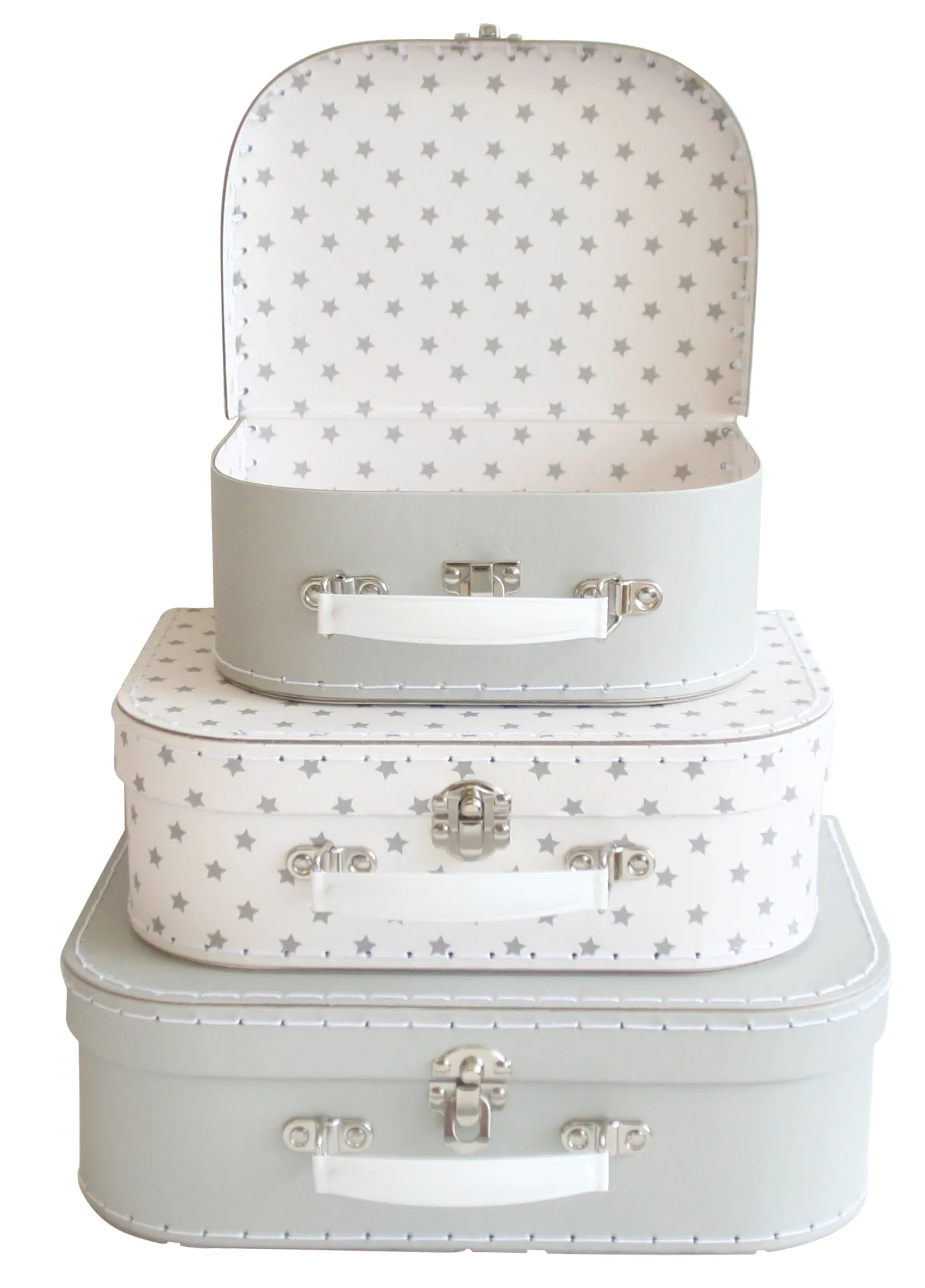 carrying case starry night small