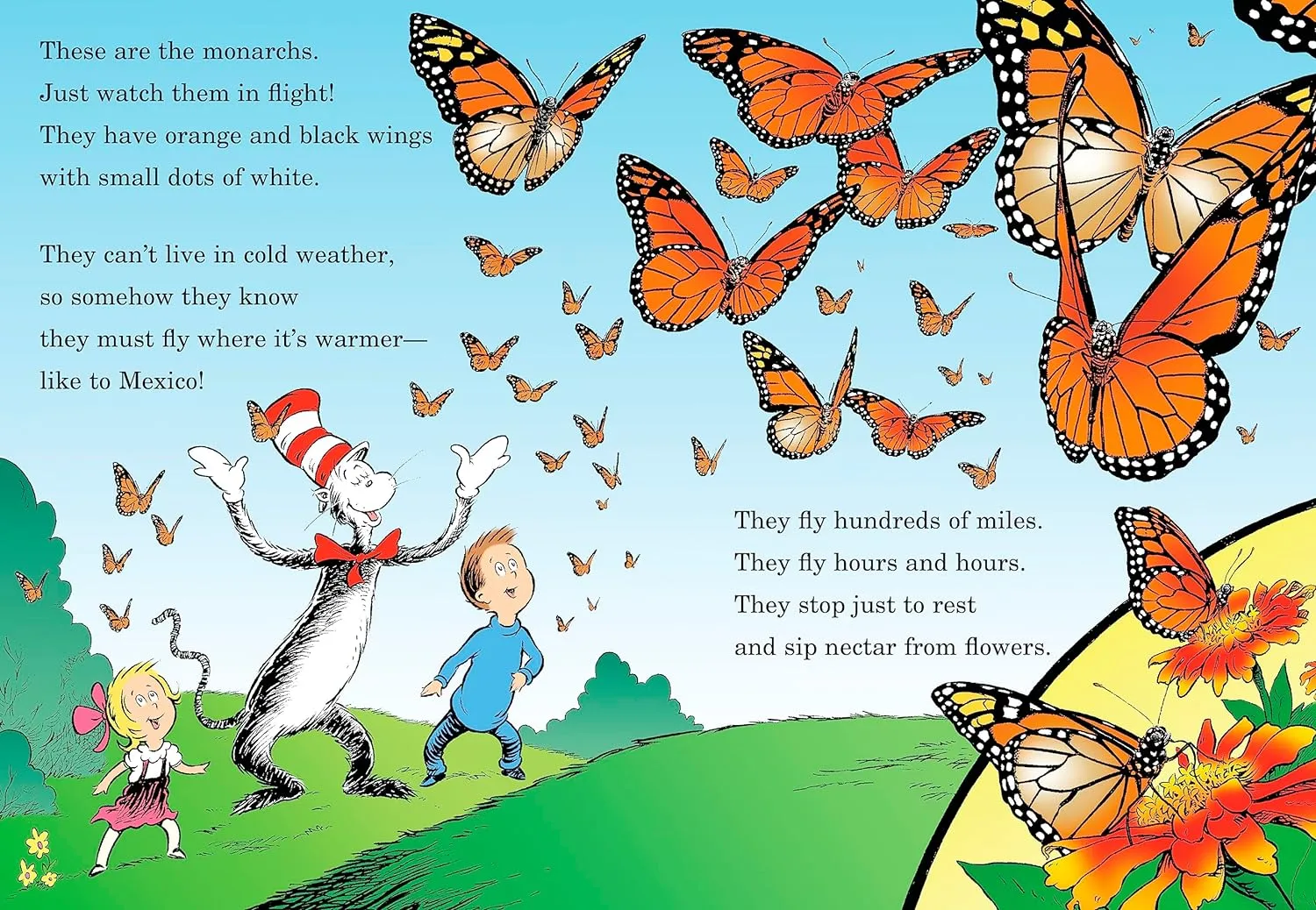 My, Oh My- A Butterfly