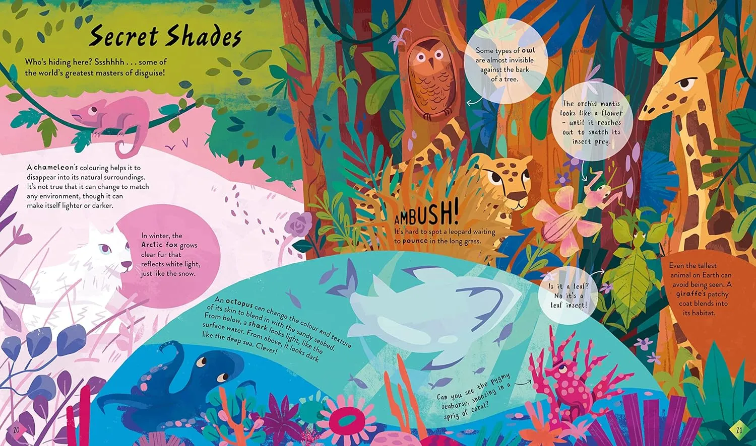 The Stories and Secrets of Colours